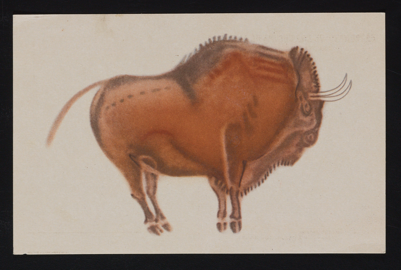 Bison Souvenir